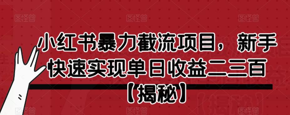 小红书暴力截流项目，新手快速实现单日收益二三百【仅揭秘】-木石资源网