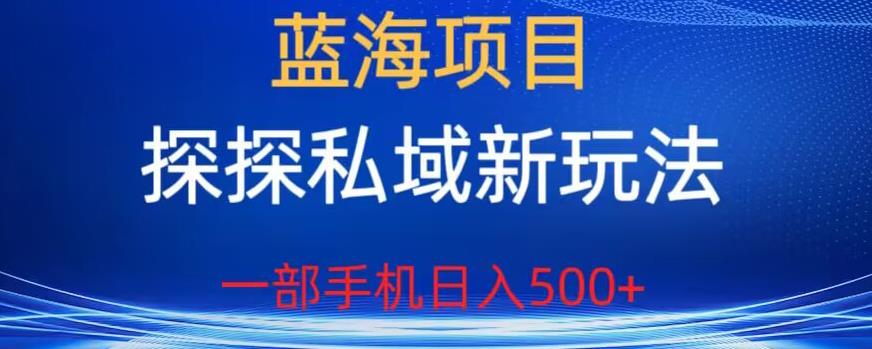 蓝海项目，探探私域新玩法，一部手机日入500+很轻松【揭秘】-木石资源网