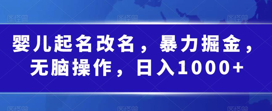 婴儿起名改名，暴力掘金，无脑操作，日入1000+【揭秘】-木石资源网