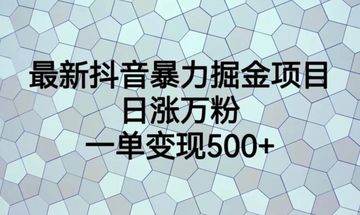 最新抖音暴力掘金项目，日涨万粉，一单变现500+【揭秘】-木石资源网