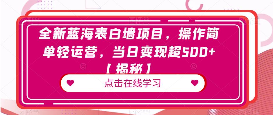 全新蓝海表白墙项目，操作简单轻运营，当日变现超500+【揭秘】-木石资源网