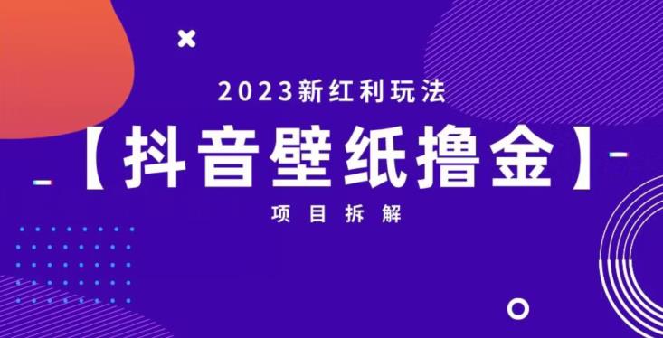 抖音壁纸小程序创作者撸金项目，2023新红利玩法【项目拆解】-木石资源网