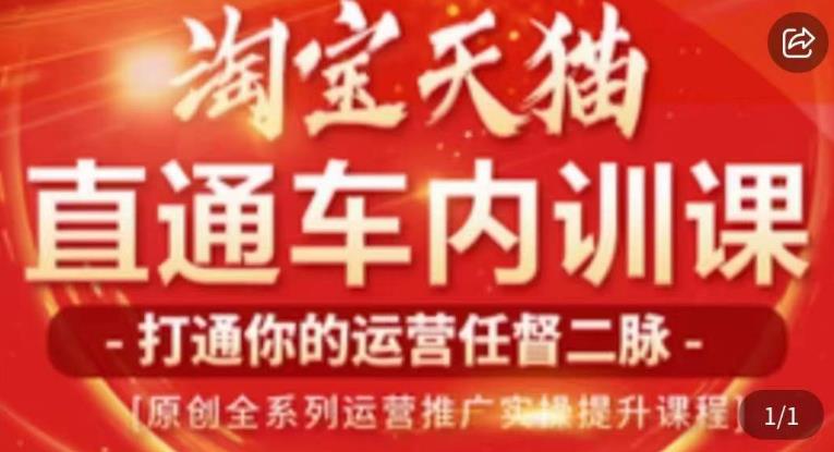 天问电商·2023淘宝天猫直通车内训课，零基础学起直通车运营实操课程-木石资源网