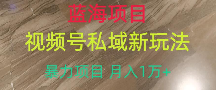 蓝海项目，视频号私域新玩法，暴力项目月入1万+【揭秘】-木石资源网
