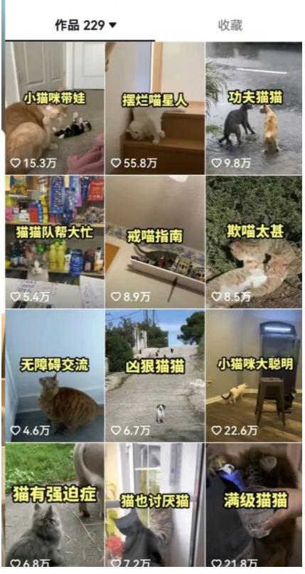 拆解：抖音盘点类中视频变现副业项目，视频版一条龙大解析分享给你-木石资源网