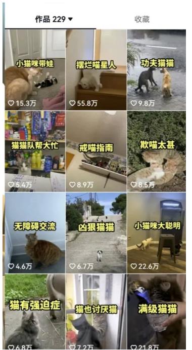 拆解抖音盘点类中视频变现副业项目，视频版一条龙大解析分享给你【视频课程】-木石资源网