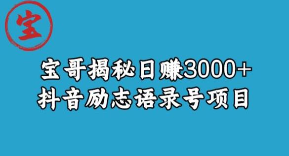 宝哥揭秘日赚3000+抖音励志语录号短视频变现项目-木石资源网