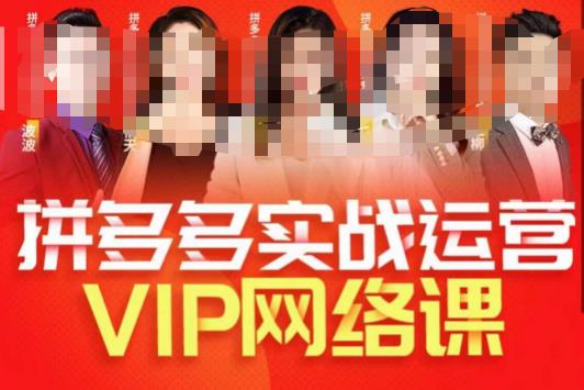 推易拼多多VIP全套直播课程，拼多多店铺实操玩法+实战玩法选款内功+直通车高阶等-木石资源网