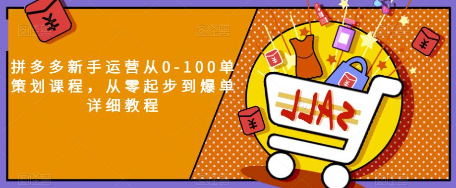 拼多多新手运营从0-100单策划课程，从零起步到爆单详细教程-木石资源网