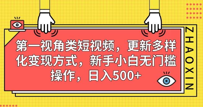 第一视角类短视频，更新多样化变现方式，新手小白无门槛操作，日入500+【揭秘】-木石资源网