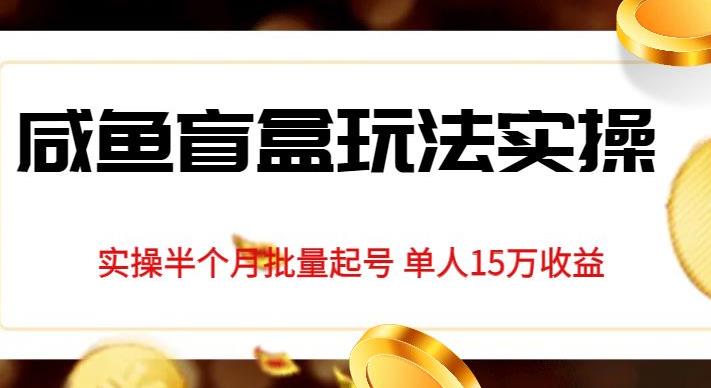 独家首发咸鱼盲盒玩法实操，半个月批量起号单人15万收益【揭秘】-木石资源网