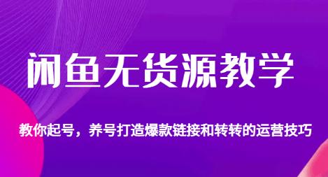 闲鱼无货源教学，教你起号，养号打造爆款链接以及转转的运营技巧-木石资源网
