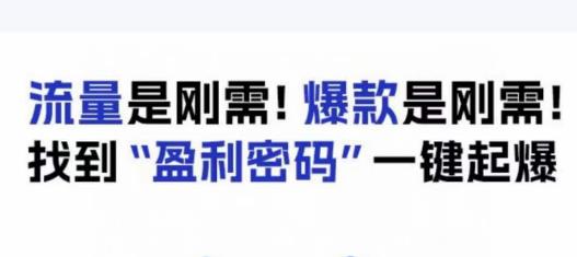电商盈利精品课：6大盈利密码让产品更好卖，流量是刚需！爆款是刚需！找到”盈利密码”一键起爆-木石资源网