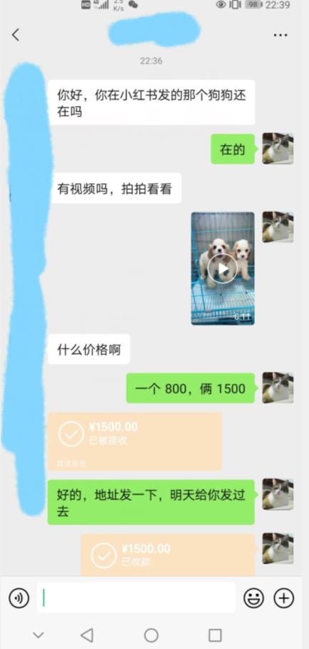 外边收费3980的同城萌宠项目，用最冷门的玩法冲击最热门的市场【揭秘】-木石资源网