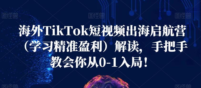 海外TikTok短视频出海启航营（学习精准盈利）解读，手把手教会你从0-1入局！-木石资源网
