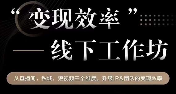 变现效率线下工作坊，从‮播直‬间、私域、‮视短‬频‮个三‬维度，升级IP和团队变现效率-木石资源网
