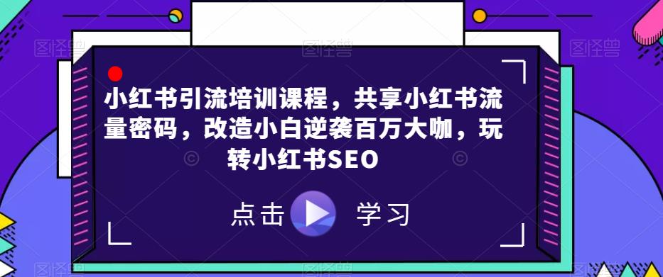 小红书引流培训课程，共享小红书流量密码，改造小白逆袭百万大咖，玩转小红书SEO-木石资源网