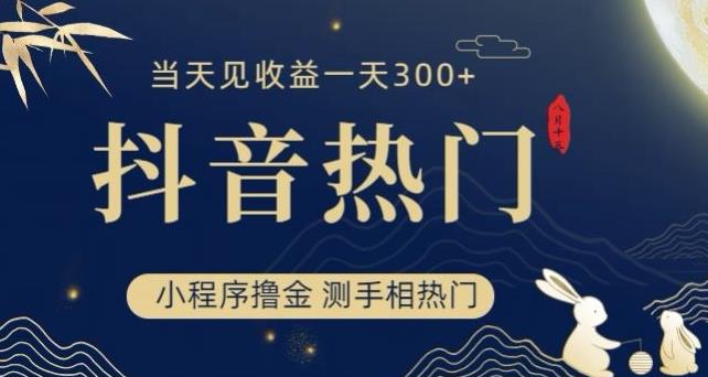 抖音最新小程序撸金，测手相上热门，当天见收益一小时变现300+【揭秘】-木石资源网