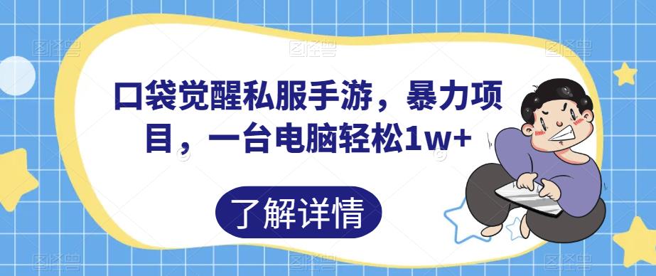口袋觉醒私服手游，暴力项目，一台电脑轻松1w+【揭秘】-木石资源网
