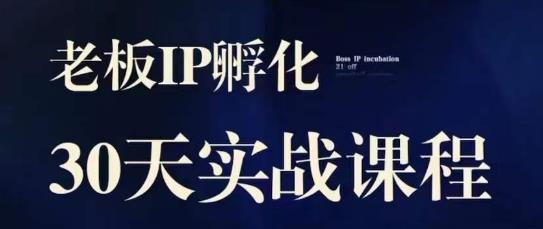 诸葛·2023老板IP实战课，实体同城引流获客，IP孵化必听-木石资源网
