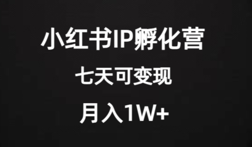 价值2000+的小红书IP孵化营项目，超级大蓝海，七天即可开始变现，稳定月入1W+-木石资源网