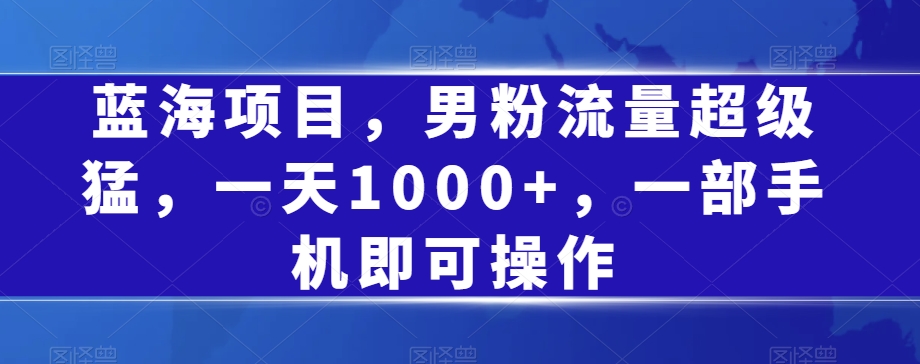 蓝海项目，男粉流量超级猛，一天1000+，一部手机即可操作【揭秘】-木石资源网