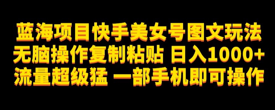 蓝海项目快手美女号图文玩法，无脑操作复制粘贴，日入1000+流量超级猛一部手机即可操作【揭秘】-木石资源网