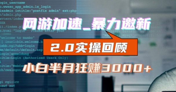 网游加速邀新，狂吃提成，适合小白，首月破千（v2.0版教程）【揭秘】-木石资源网