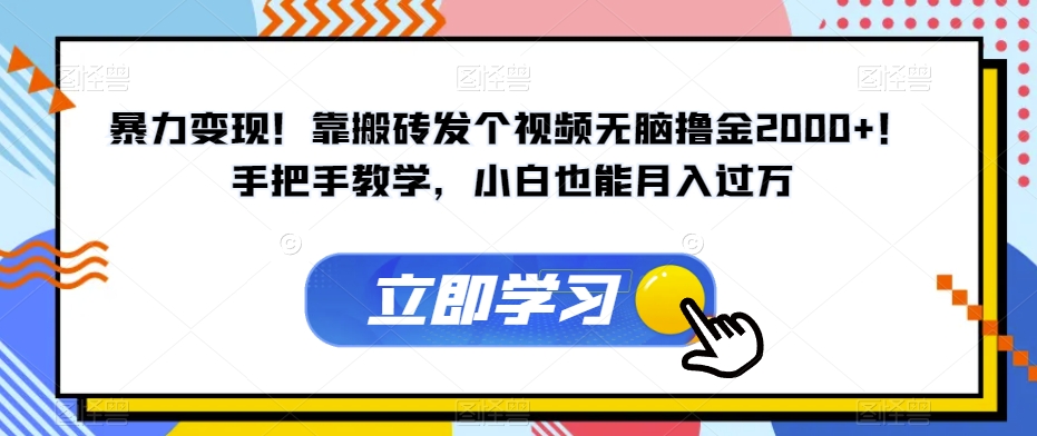 暴力变现！靠搬砖发个视频无脑撸金2000+！手把手教学，小白也能月入过万【揭秘】-木石资源网
