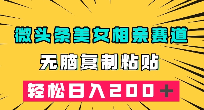 微头条冷门美女相亲赛道，无脑复制粘贴，轻松日入200＋【揭秘】-木石资源网