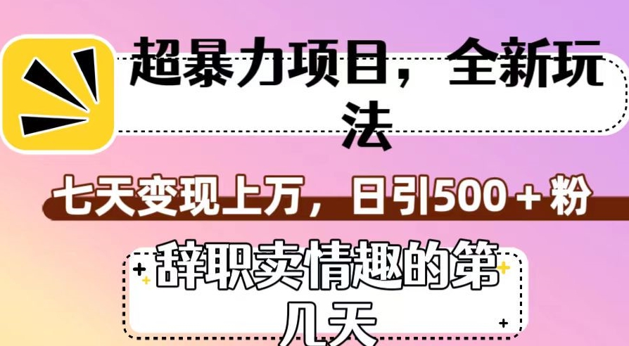 超暴利项目，全新玩法（辞职卖情趣的第几天），七天变现上万，日引500+粉【揭秘】-木石资源网