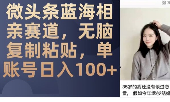 微头条蓝海相亲赛道，无脑复制粘贴，单账号日入100+-木石资源网