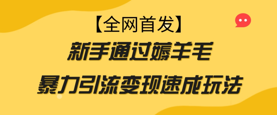 【全网首发】新手通过薅羊毛暴力引流变现速成玩法-木石资源网
