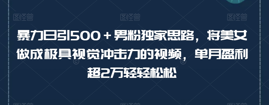 暴力日引500＋男粉独家思路，将美女做成极具视觉冲击力的视频，单月盈利超2万轻轻松松-木石资源网
