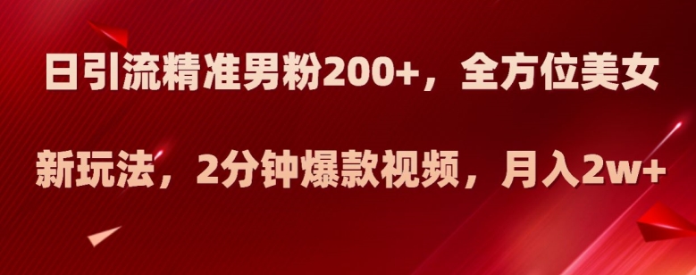 日引流精准男粉200+，全方位美女新玩法，2分钟爆款视频，月入2w+【揭秘】-木石资源网