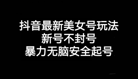 抖音最新美女号玩法，新号不封号，暴力无脑安全起号【揭秘】-木石资源网