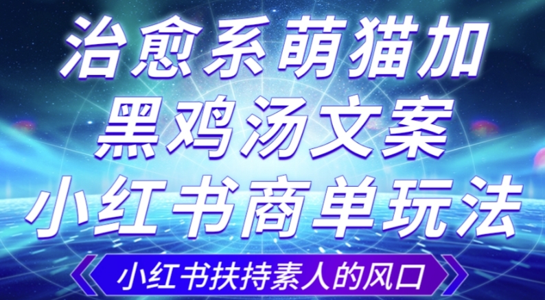 治愈系萌猫加+黑鸡汤文案，小红书商单玩法，3~10天涨到1000粉，一单200左右-木石资源网
