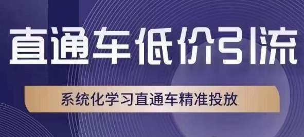 直通车低价引流课，系统化学习直通车精准投放-木石资源网