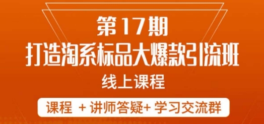 南掌柜-第17期打造淘系标品大爆款，5天线上课-木石资源网