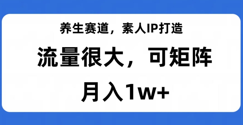 养生赛道，素人IP打造，流量很大，可矩阵，月入1w+【揭秘】-木石资源网