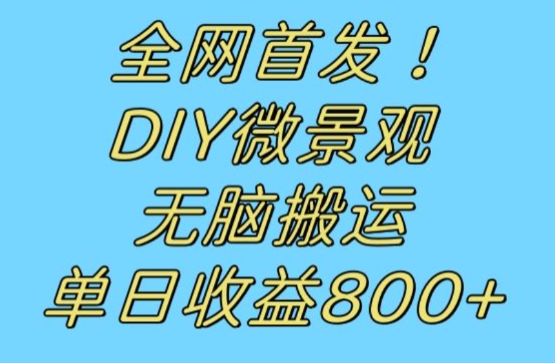 全网首发冷门赛道！DIY微景观，无脑搬运视频，日收益800+【揭秘】-木石资源网