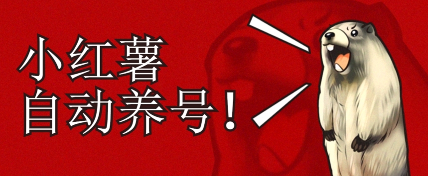 小红书养号秘籍，如何自动涨粉清晰系统标签打造高权重账号【揭秘】-木石资源网