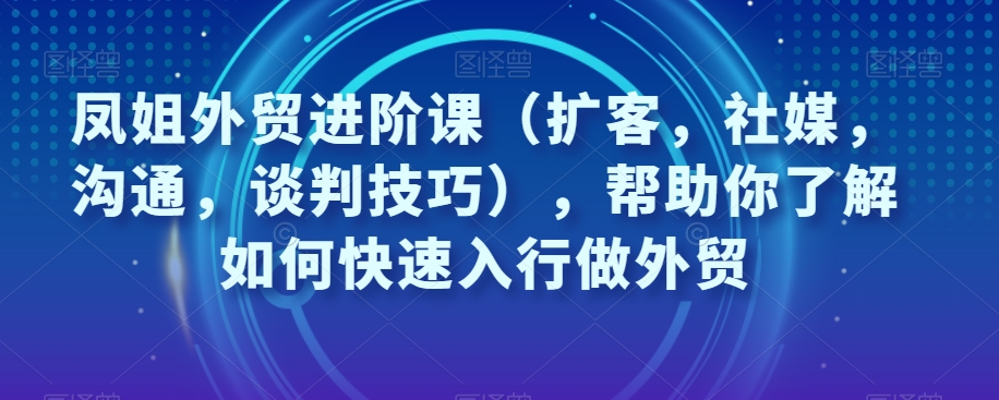 凤姐外贸进阶课（扩客，社媒，沟通，谈判技巧），帮助你了解如何快速入行做外贸-木石资源网