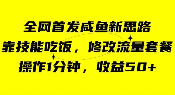 咸鱼冷门新玩法，靠“技能吃饭”，修改流量套餐，操作1分钟，收益50【揭秘】-木石资源网