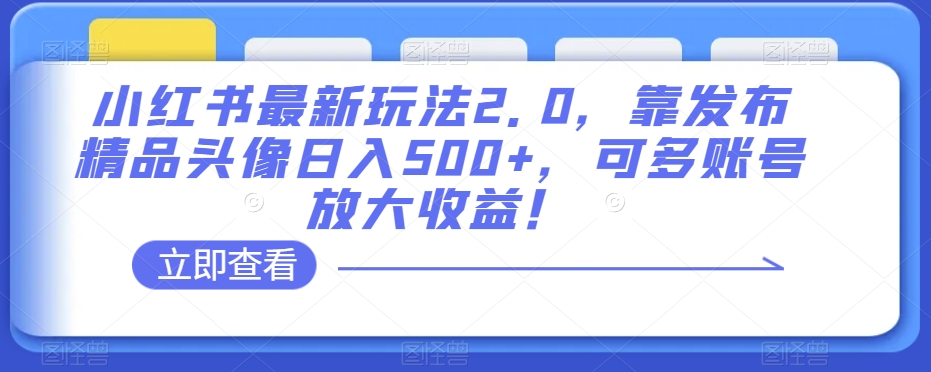 小红书最新玩法2.0，靠发布精品头像日入500+，可多账号放大收益！【揭秘】-木石资源网