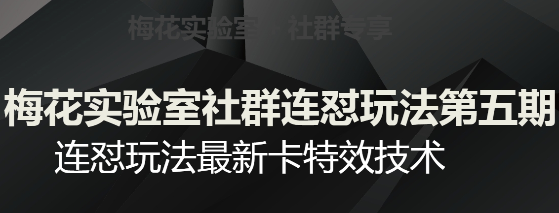梅花实验室社群连怼玩法第五期，视频号连怼玩法最新卡特效技术-木石资源网