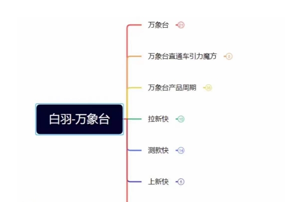 白羽·直引万搜索全篇，从0-1，多个类目实操经验总结付费-木石资源网