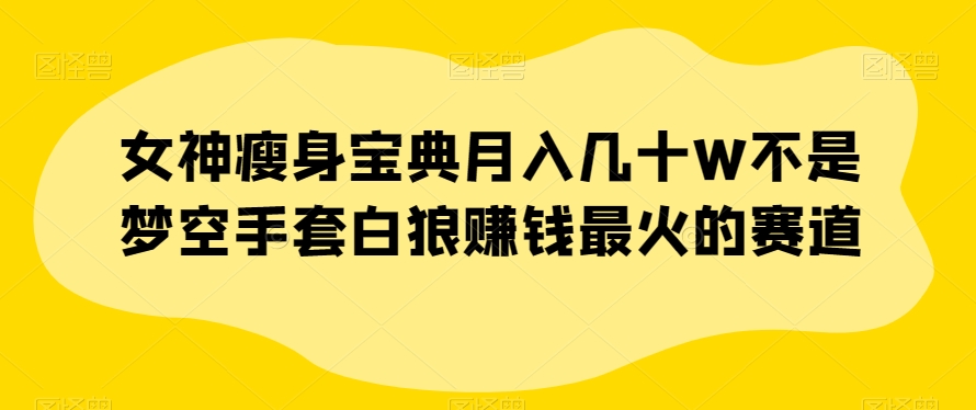 女神瘦身宝典月入几十W不是梦空手套白狼赚钱最火的赛道【揭秘】-木石资源网