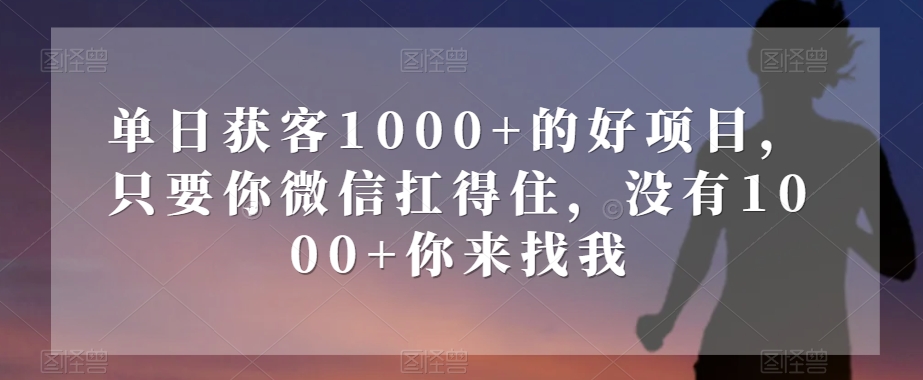 单日获客1000+的好项目，只要你微信扛得住，没有1000+你来找我【揭秘】-木石资源网