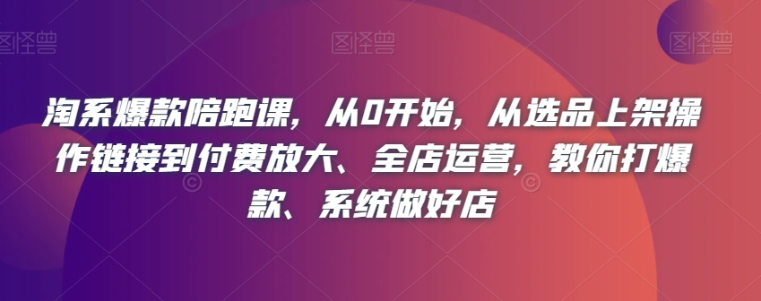 淘系爆款陪跑课，从0开始，从选品上架操作链接到付费放大、全店运营，教你打爆款、系统做好店-木石资源网